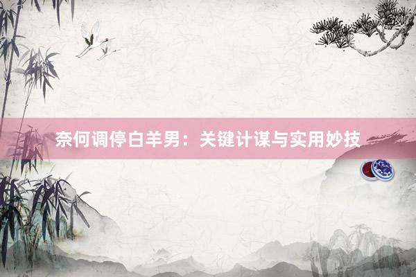 奈何调停白羊男：关键计谋与实用妙技