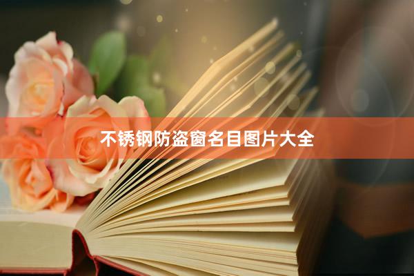 不锈钢防盗窗名目图片大全