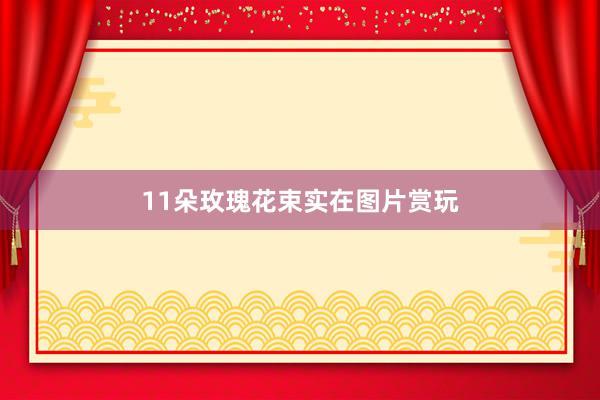 11朵玫瑰花束实在图片赏玩