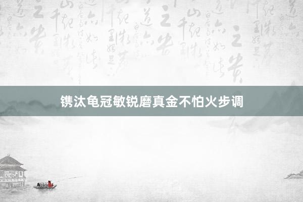 镌汰龟冠敏锐磨真金不怕火步调