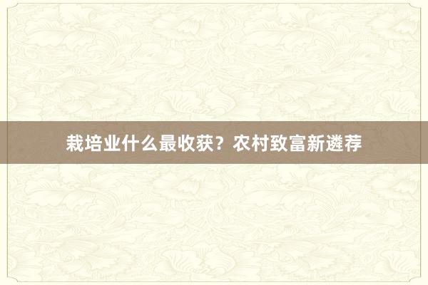 栽培业什么最收获？农村致富新遴荐